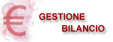 gestione bilancio
